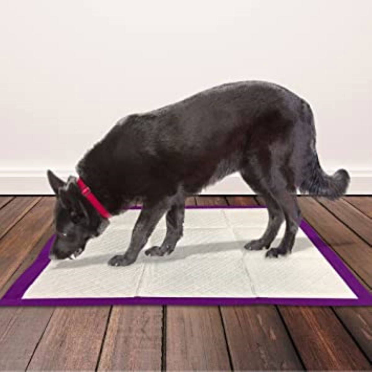 Simple Solution All Day Premium Dog Pads, 100 Pack | Cost...