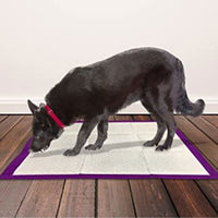 Simple Solution All Day Premium Dog Pads, 100 Pack | Cost...