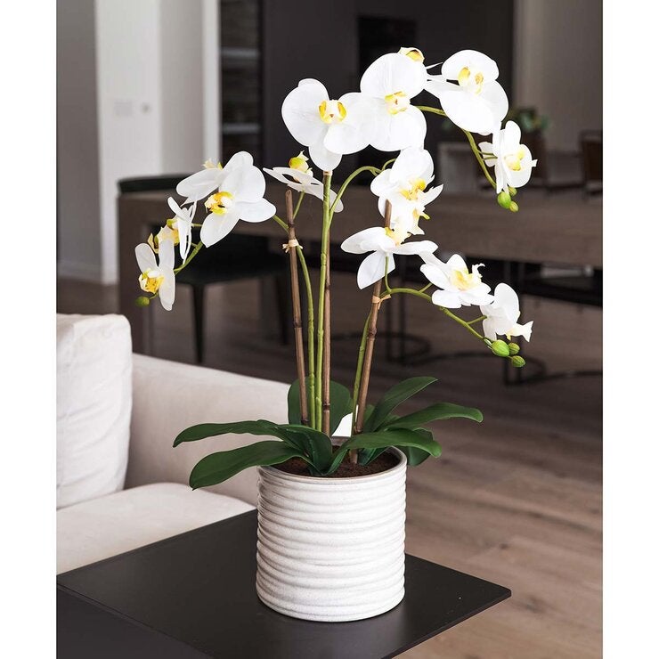 Artificial Orchid in Ribbed Ceramic Pot