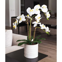 Artificial Orchid in Ribbed Ceramic Pot