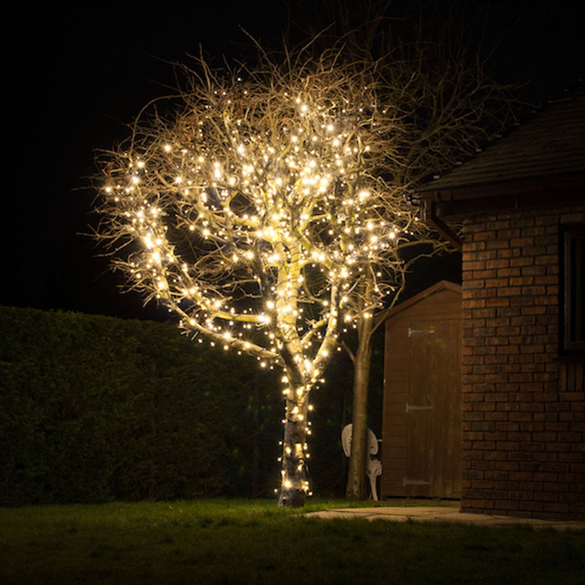 Lights4You 66ft (20m) 120 LED Warm White Outdoor String Lights
