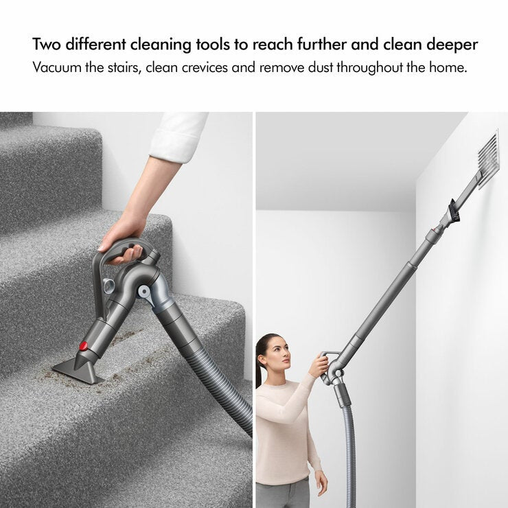 Dyson Big Ball Animal 2 Cylinder Vacuum