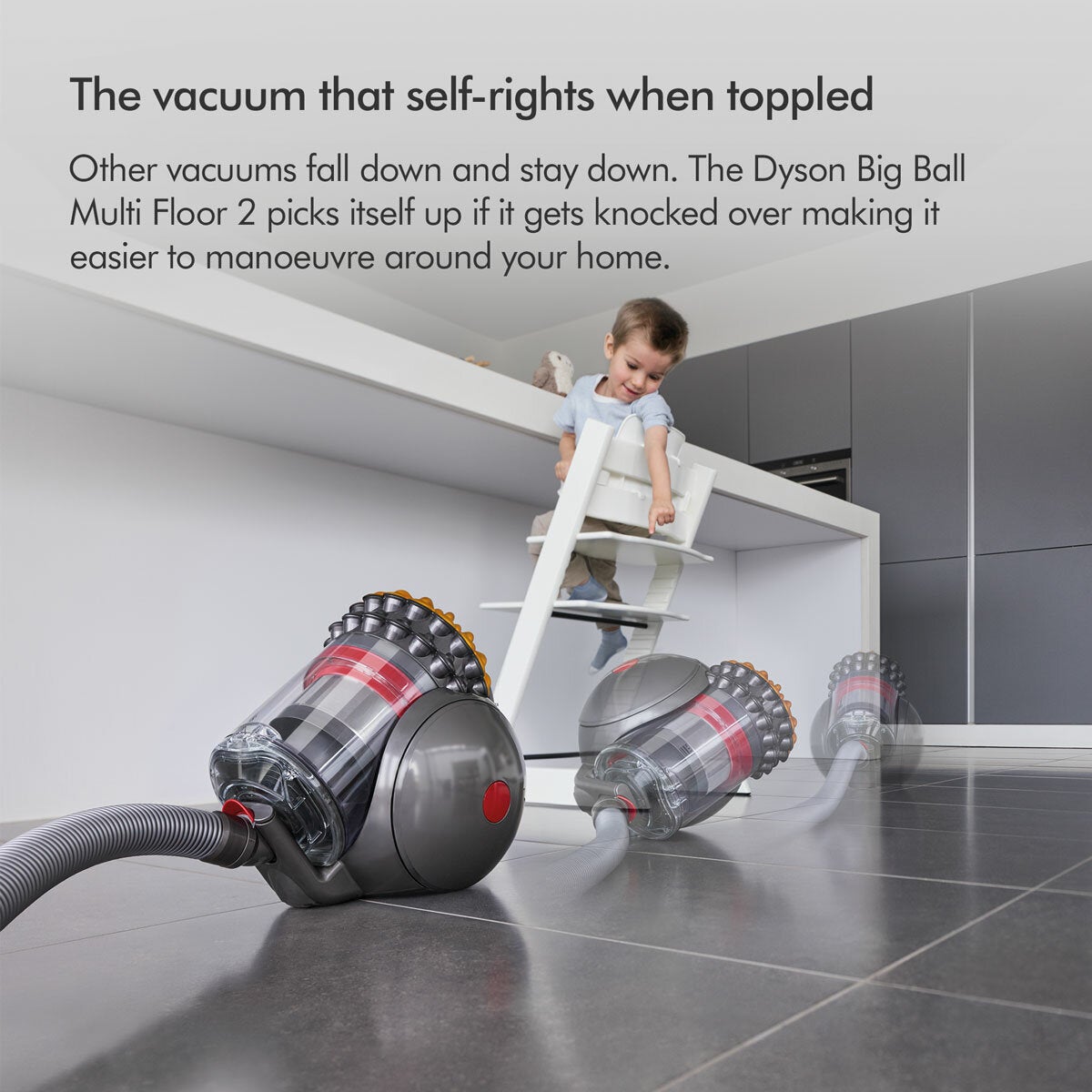 Dyson Big Ball Animal 2 Cylinder Vacuum