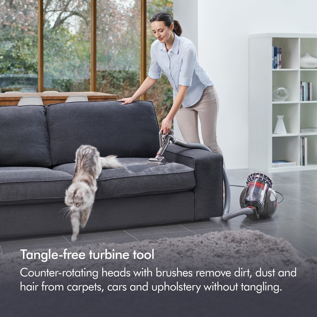 Dyson Big Ball Animal 2 Cylinder Vacuum
