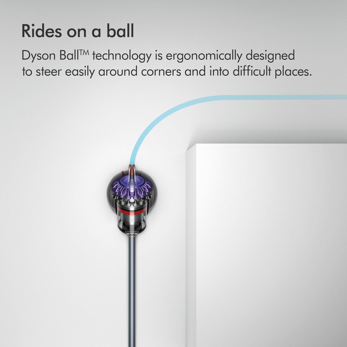 Dyson Big Ball Animal 2 Cylinder Vacuum