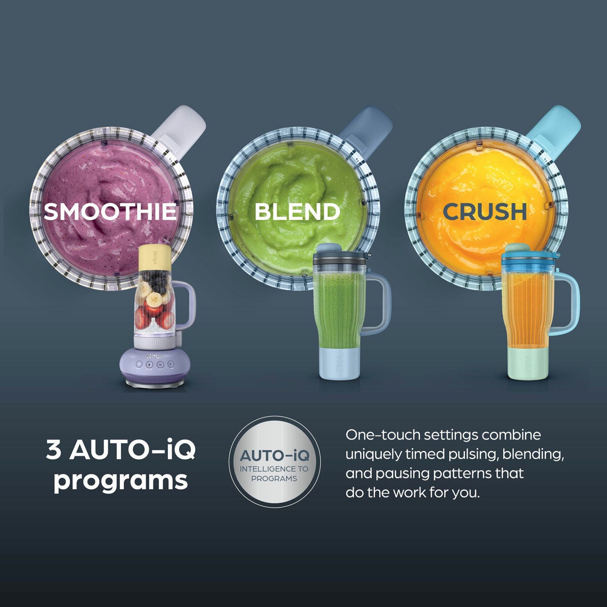 Ninja BlendBoss Tumbler Blender available in 5 Colours