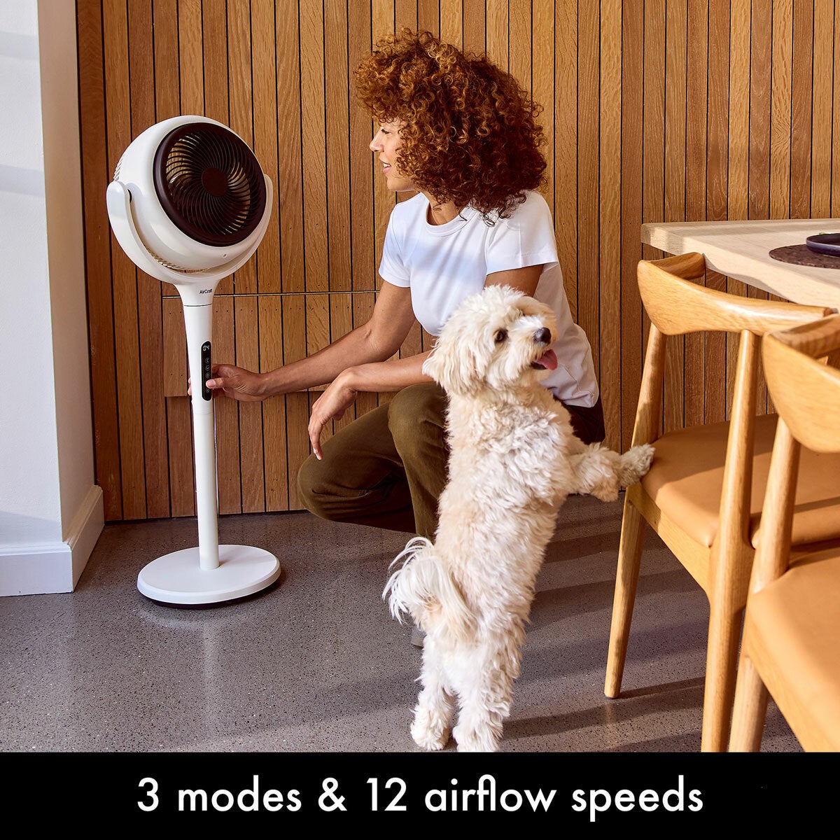 AirCraft LUME Ultra Quiet 2 in 1 Air Circulator Fan With Remote & LED Backlight in Stone White