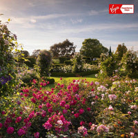Virgin Experience Days Visit To A RHS Garden For Two