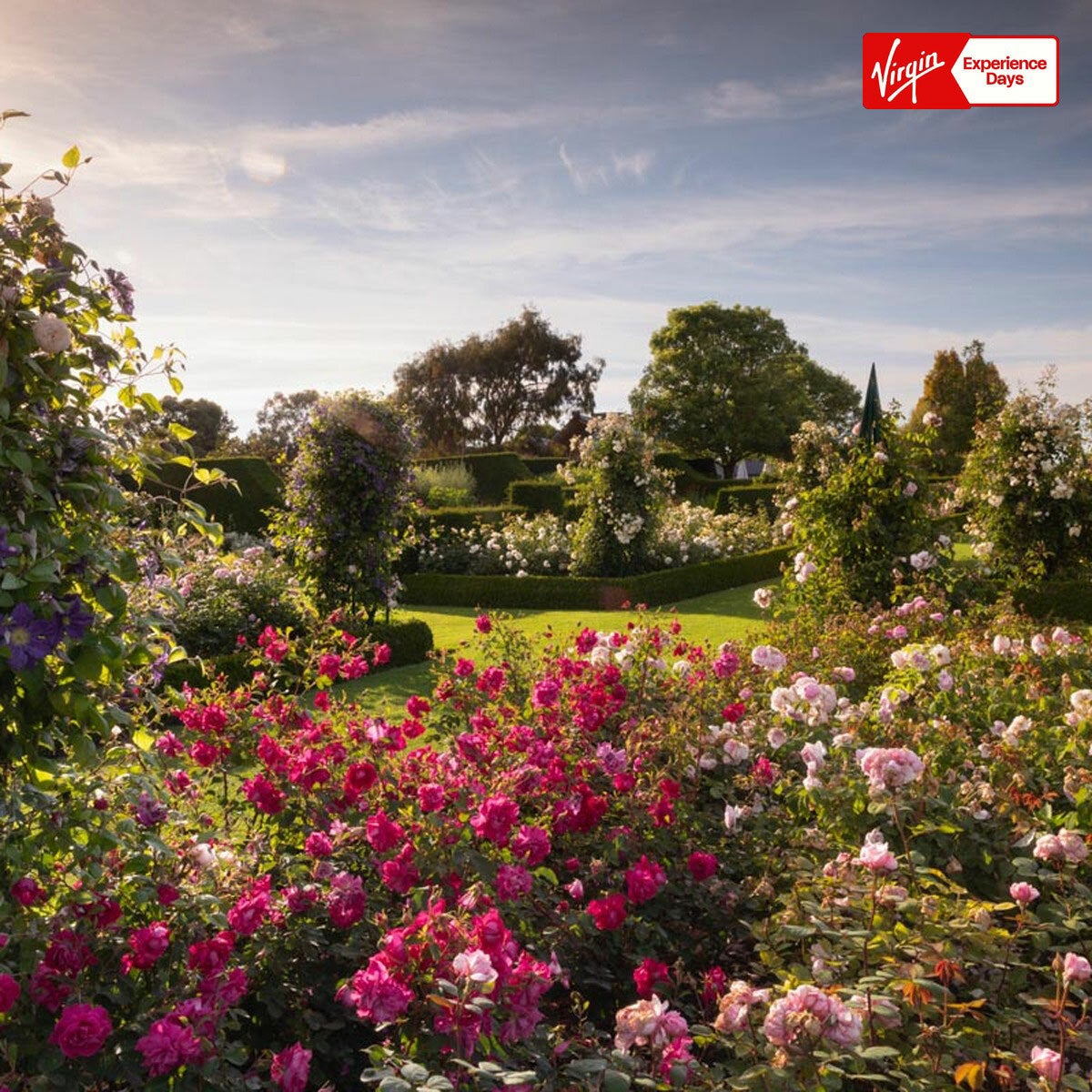 Virgin Experience Days Visit To A RHS Garden For Two