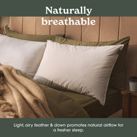 Sleepeezee Natural Comfort Feather & Down Pillow, 48 x 74 cm